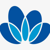中国中化