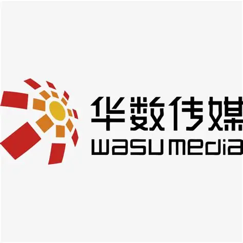 华数传媒
